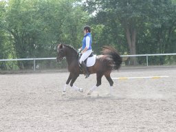 IMG_1401_web